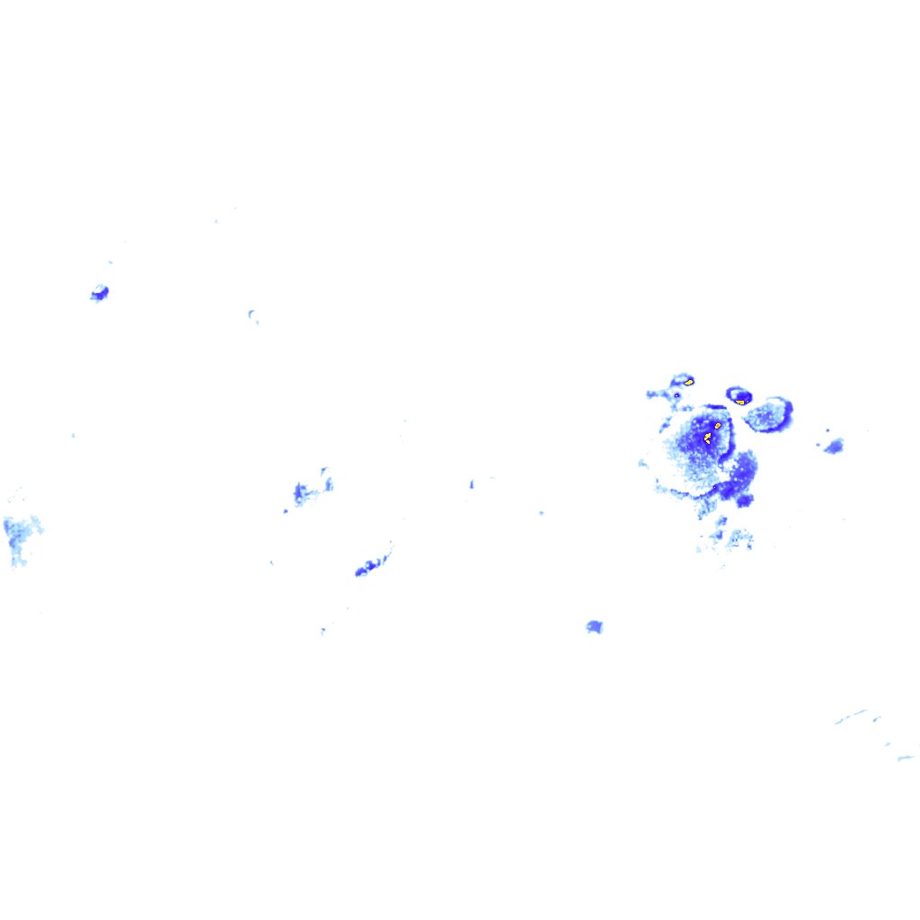 Image Layer