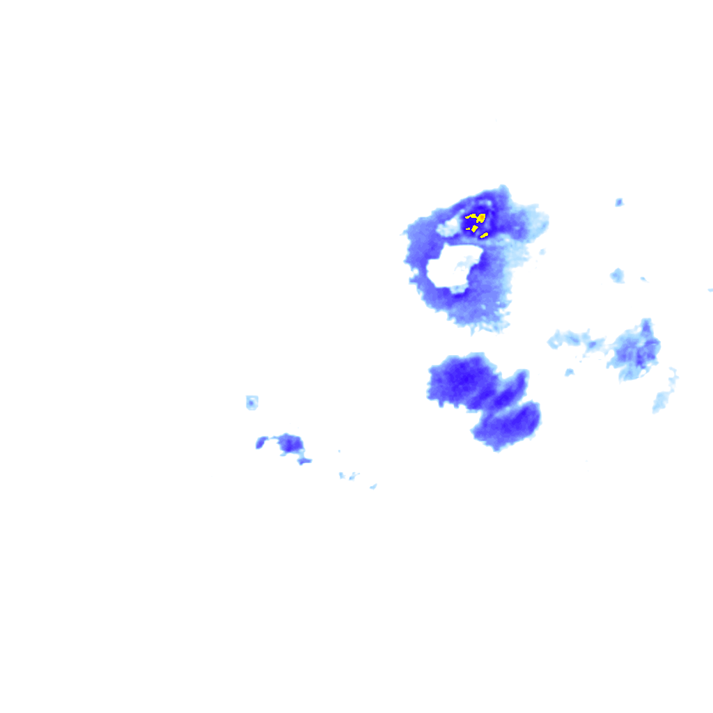 rainLayer