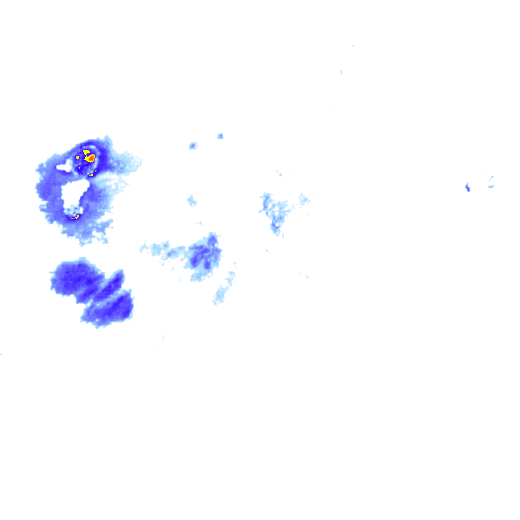 Image Layer