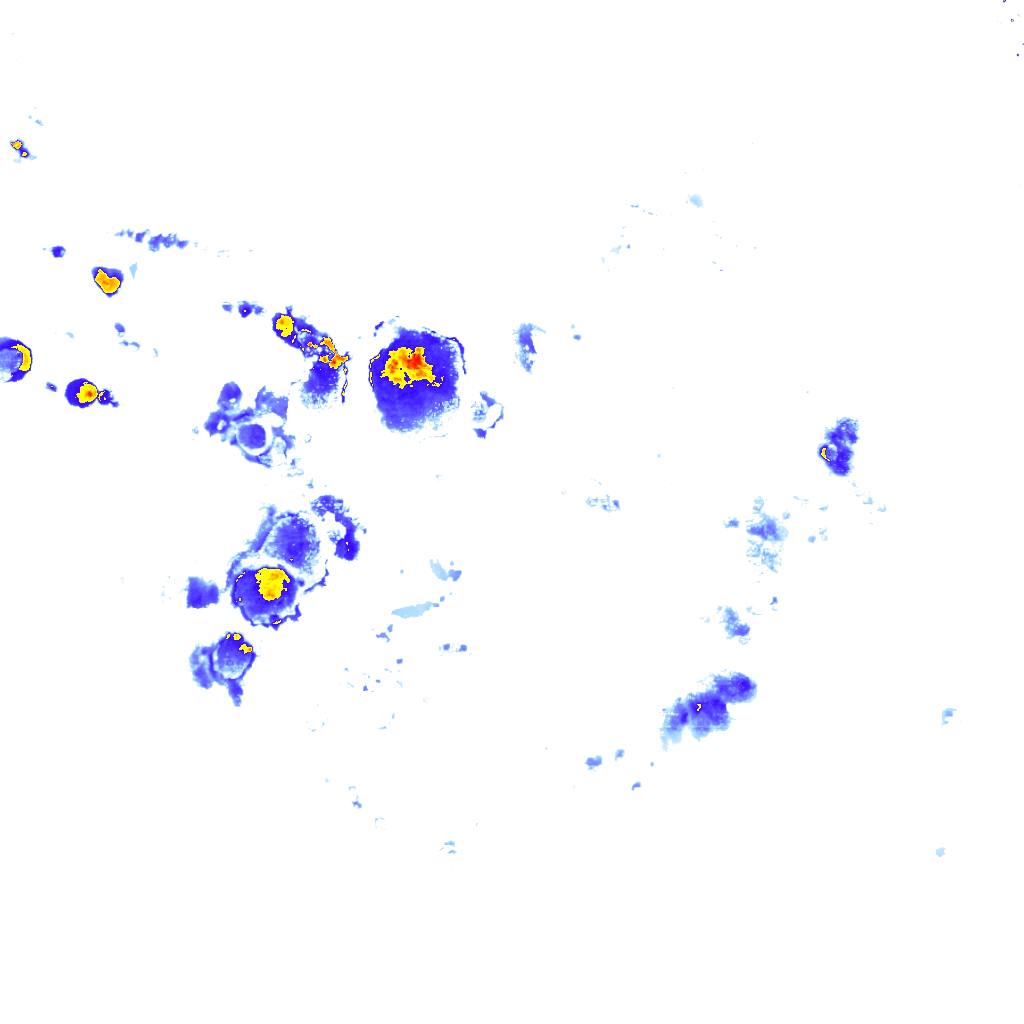 Image Layer