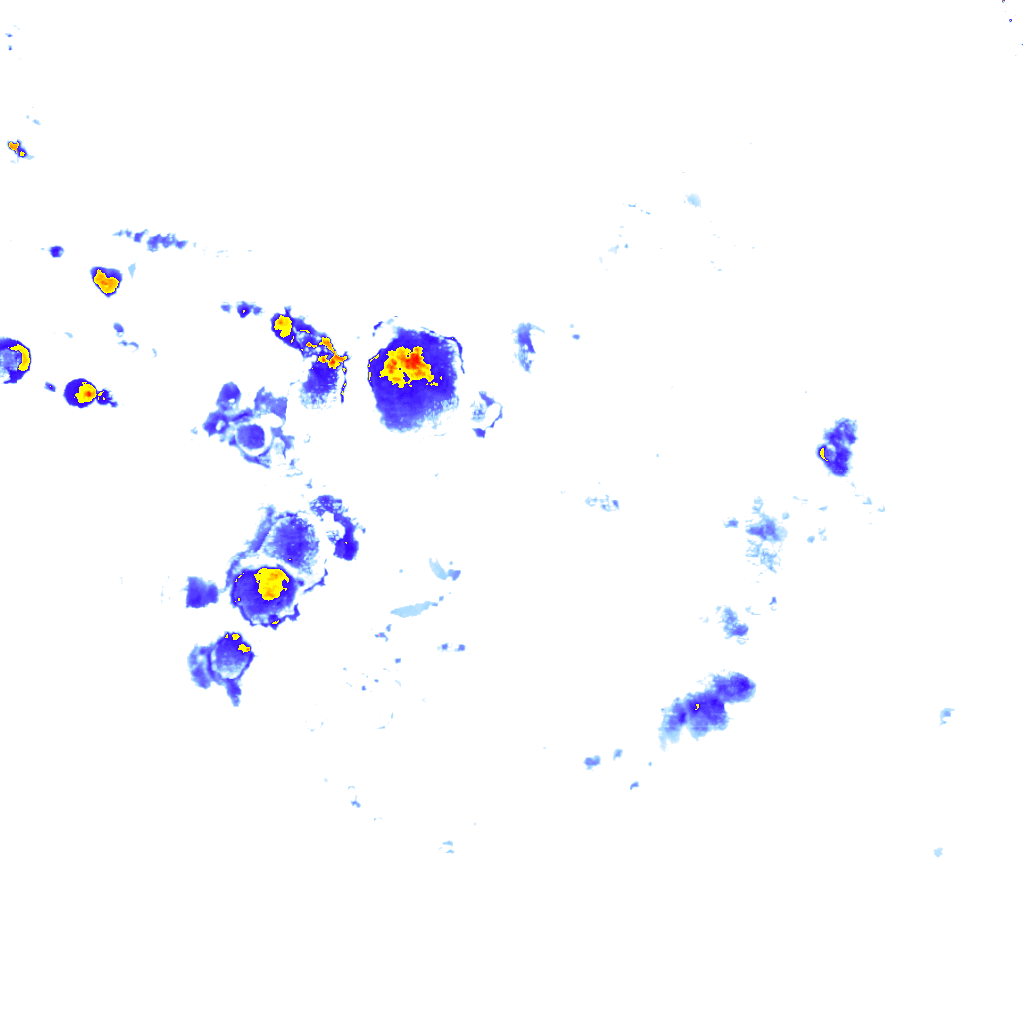 Image Layer