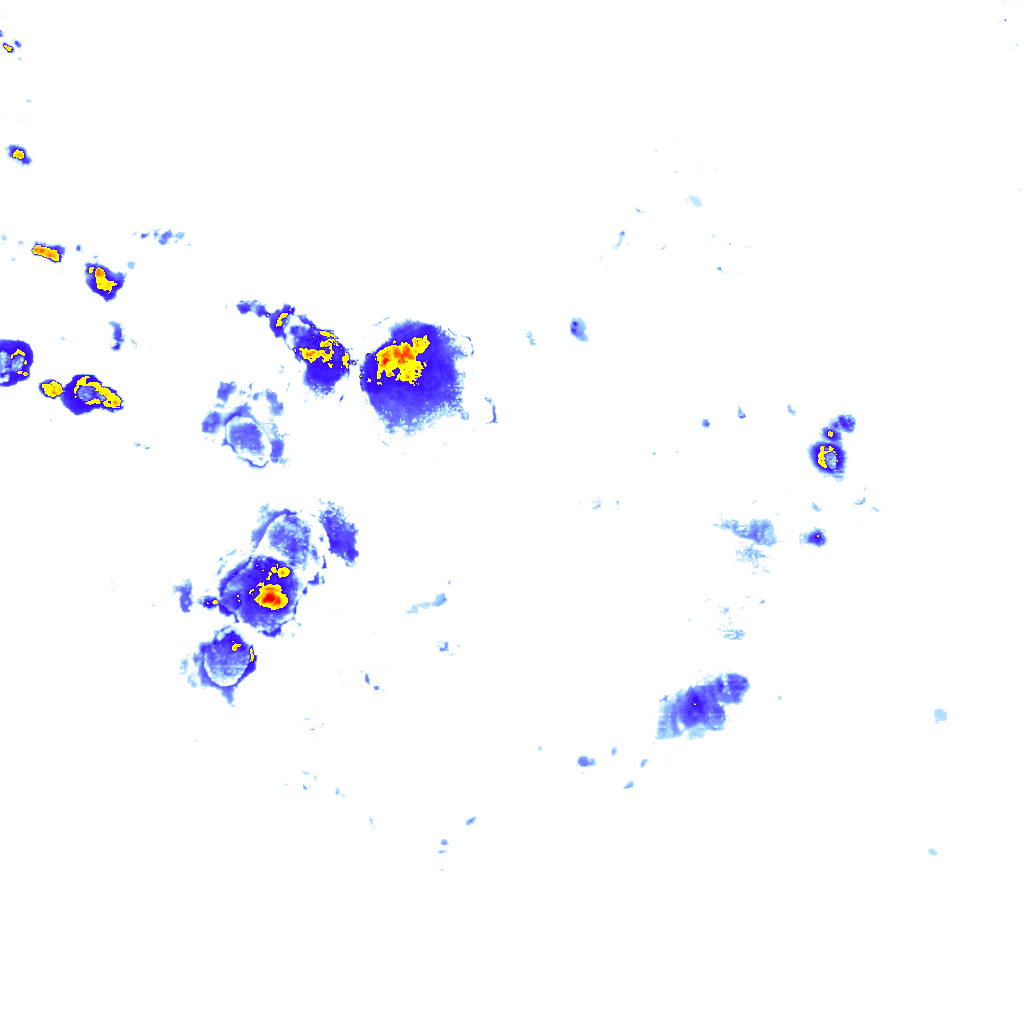 rainLayer