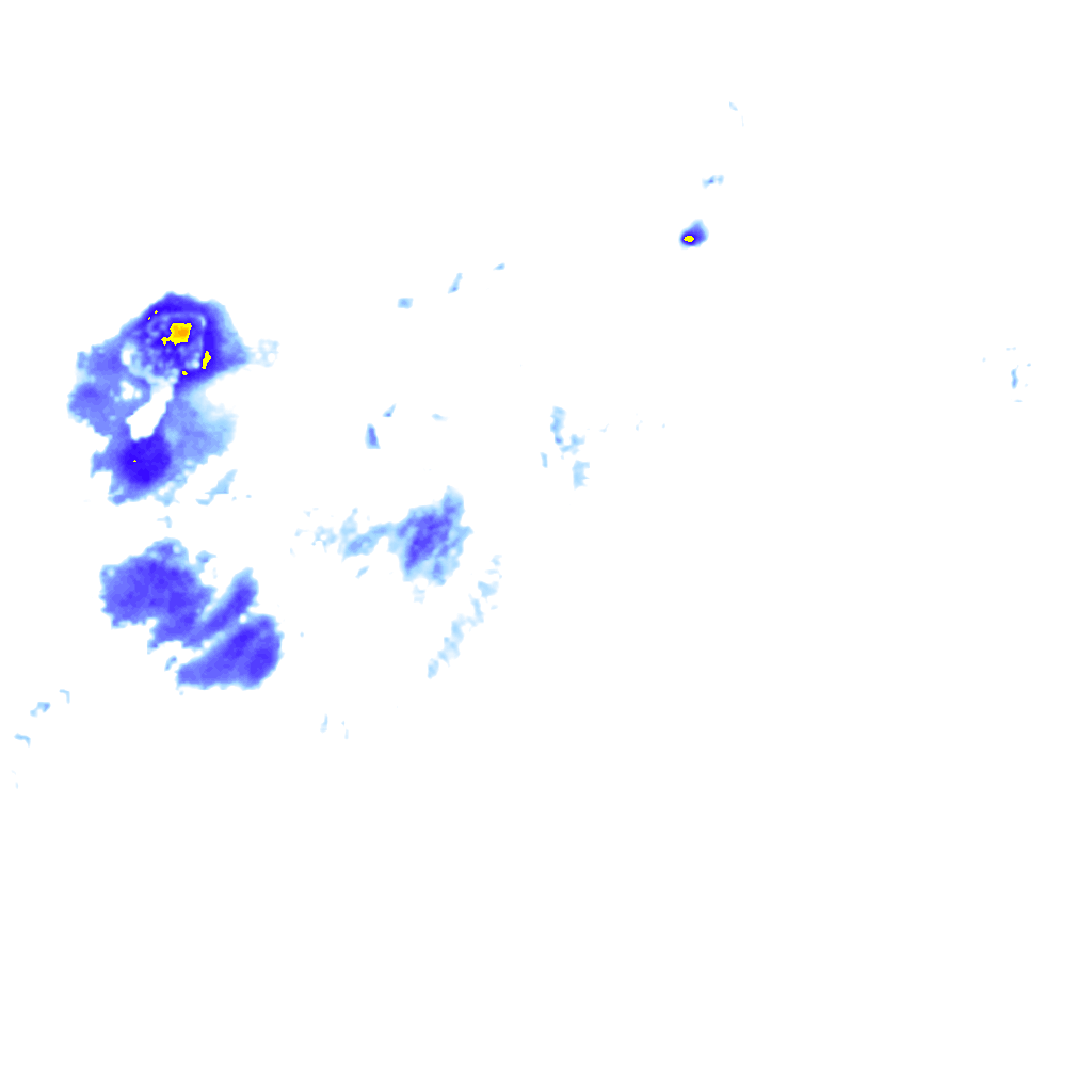 rainLayer