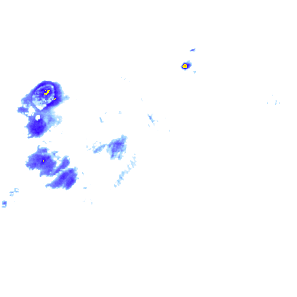 rainLayer
