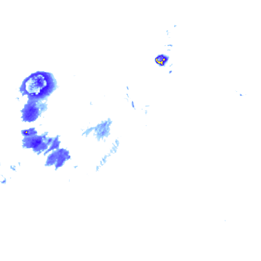 rainLayer