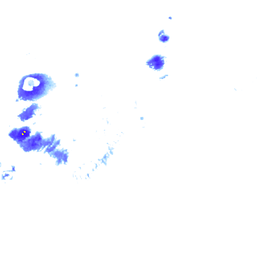 rainLayer