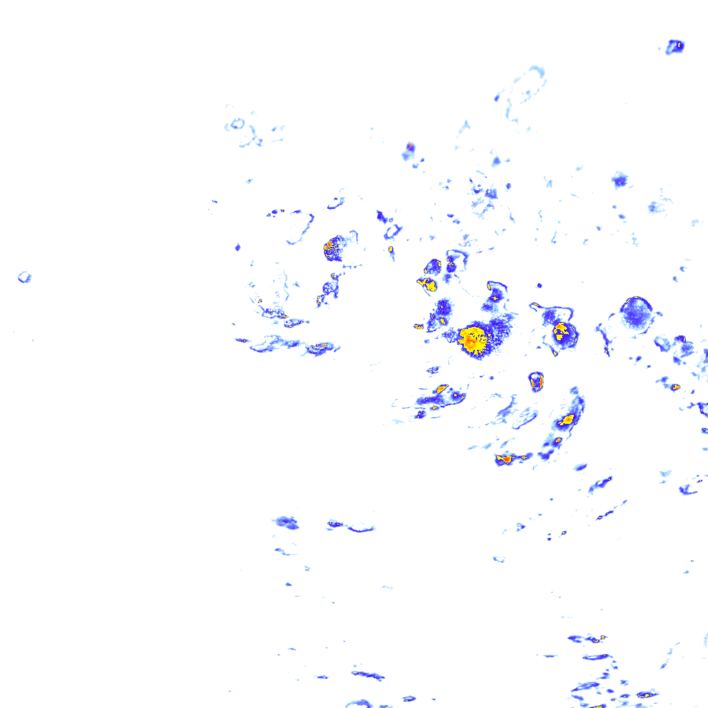 rainLayer