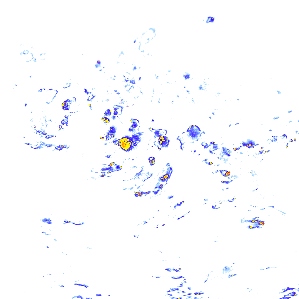 rainLayer