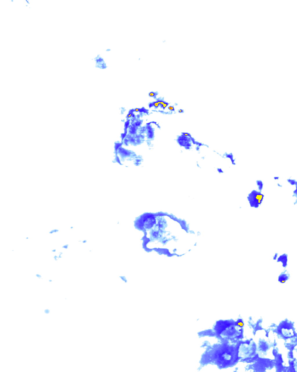 rainLayer