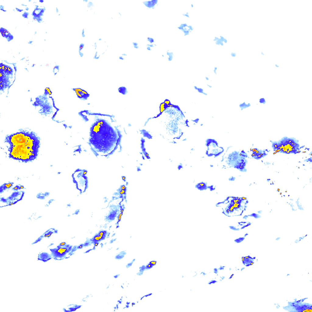 Image Layer