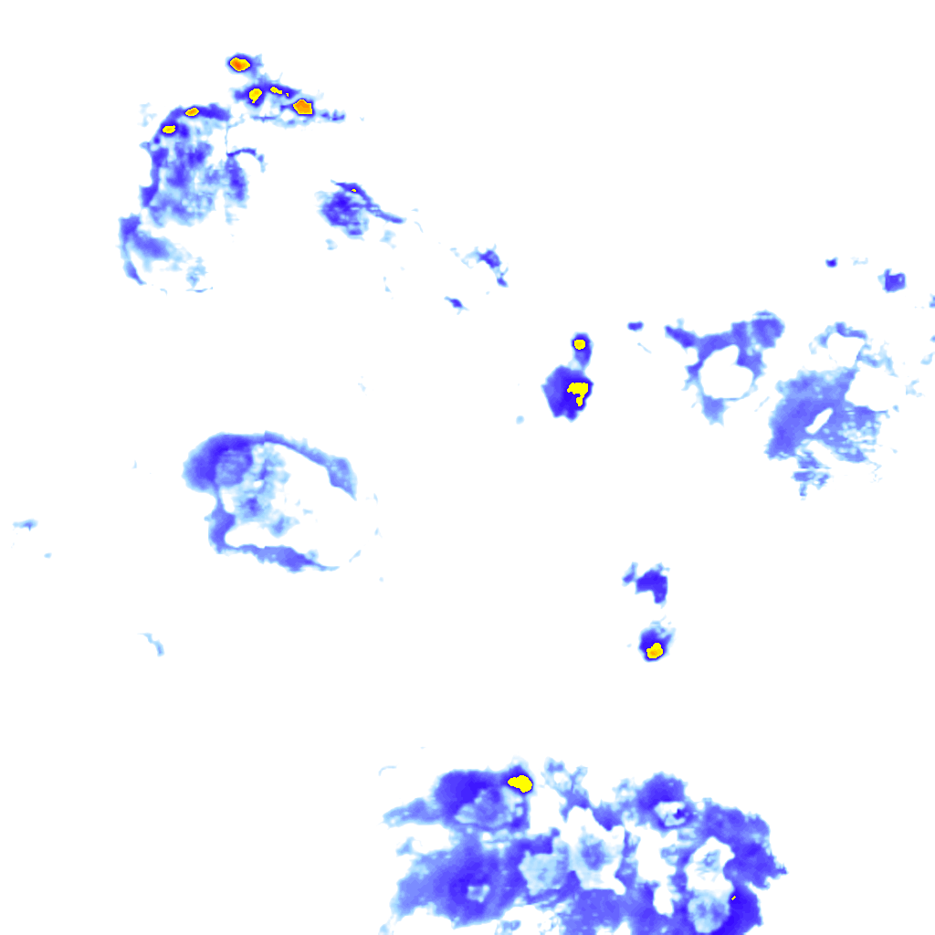 rainLayer