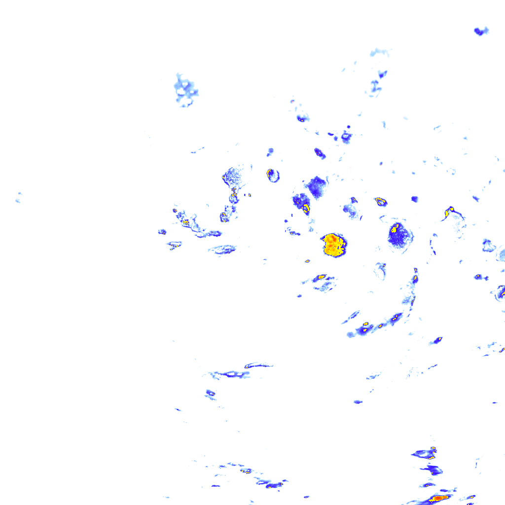 rainLayer