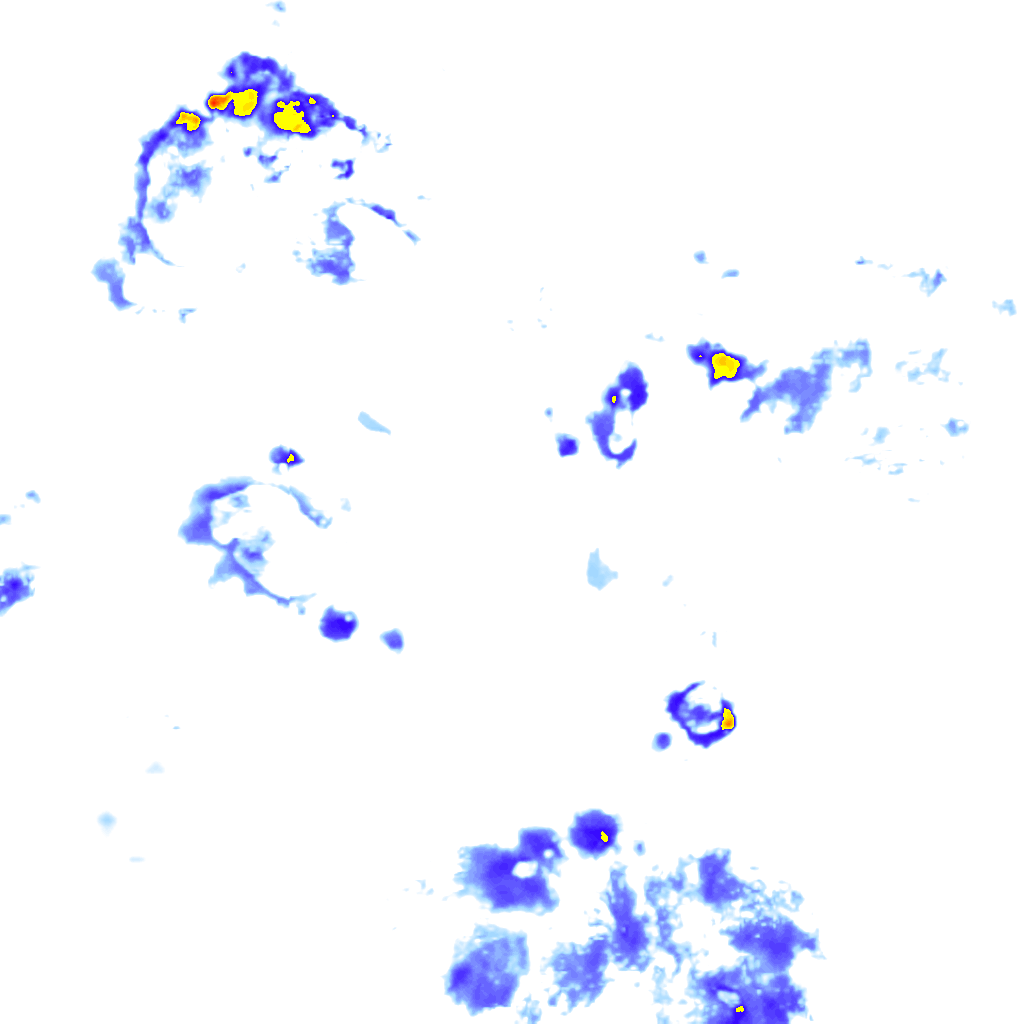 rainLayer