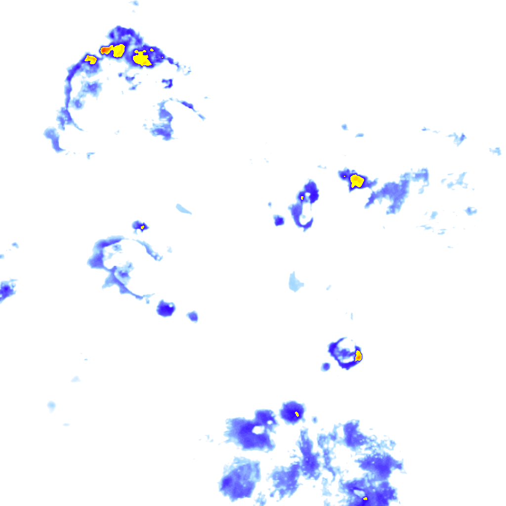 Image Layer