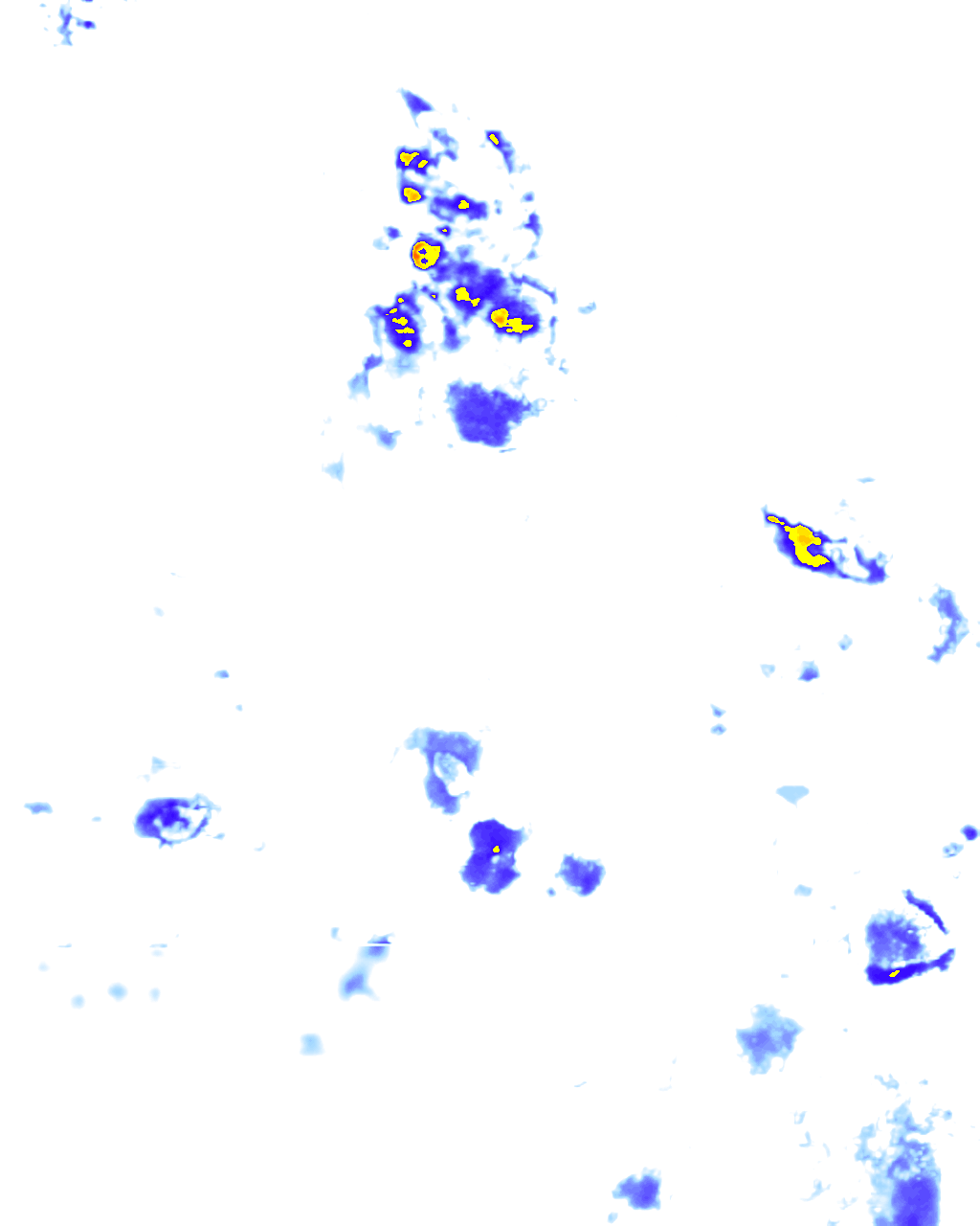 Image Layer