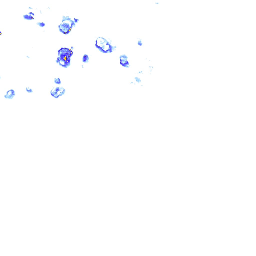 rainLayer