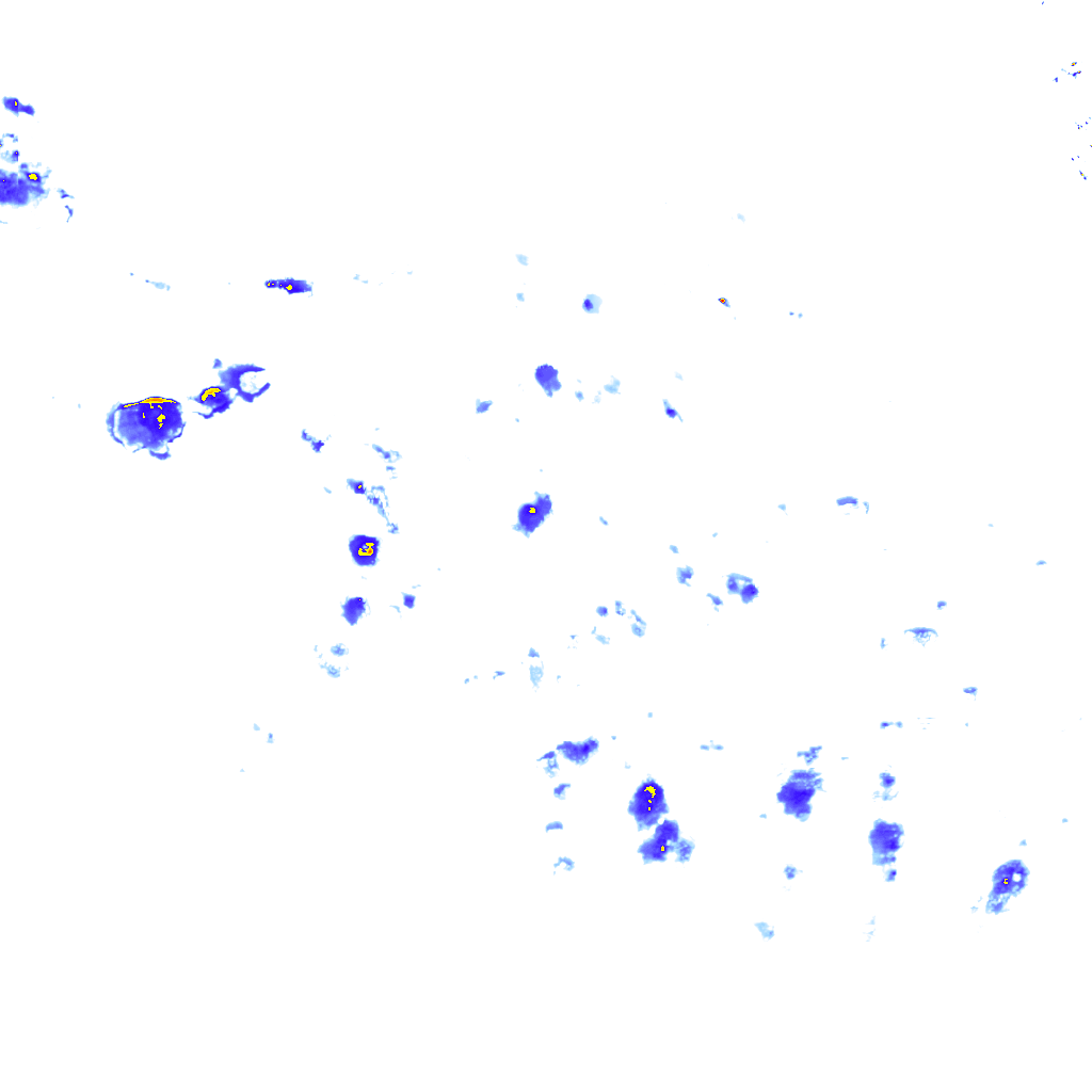 rainLayer