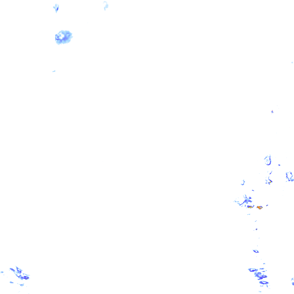 rainLayer