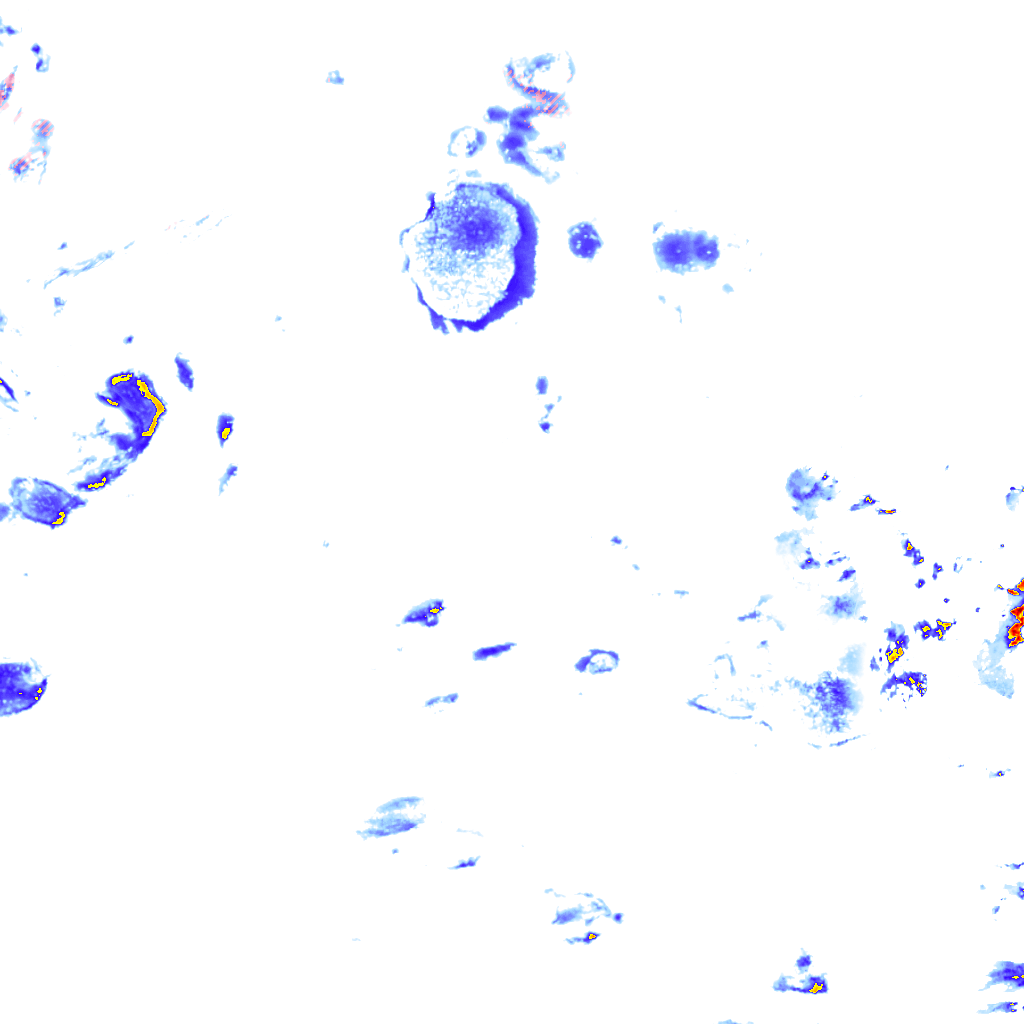 rainLayer