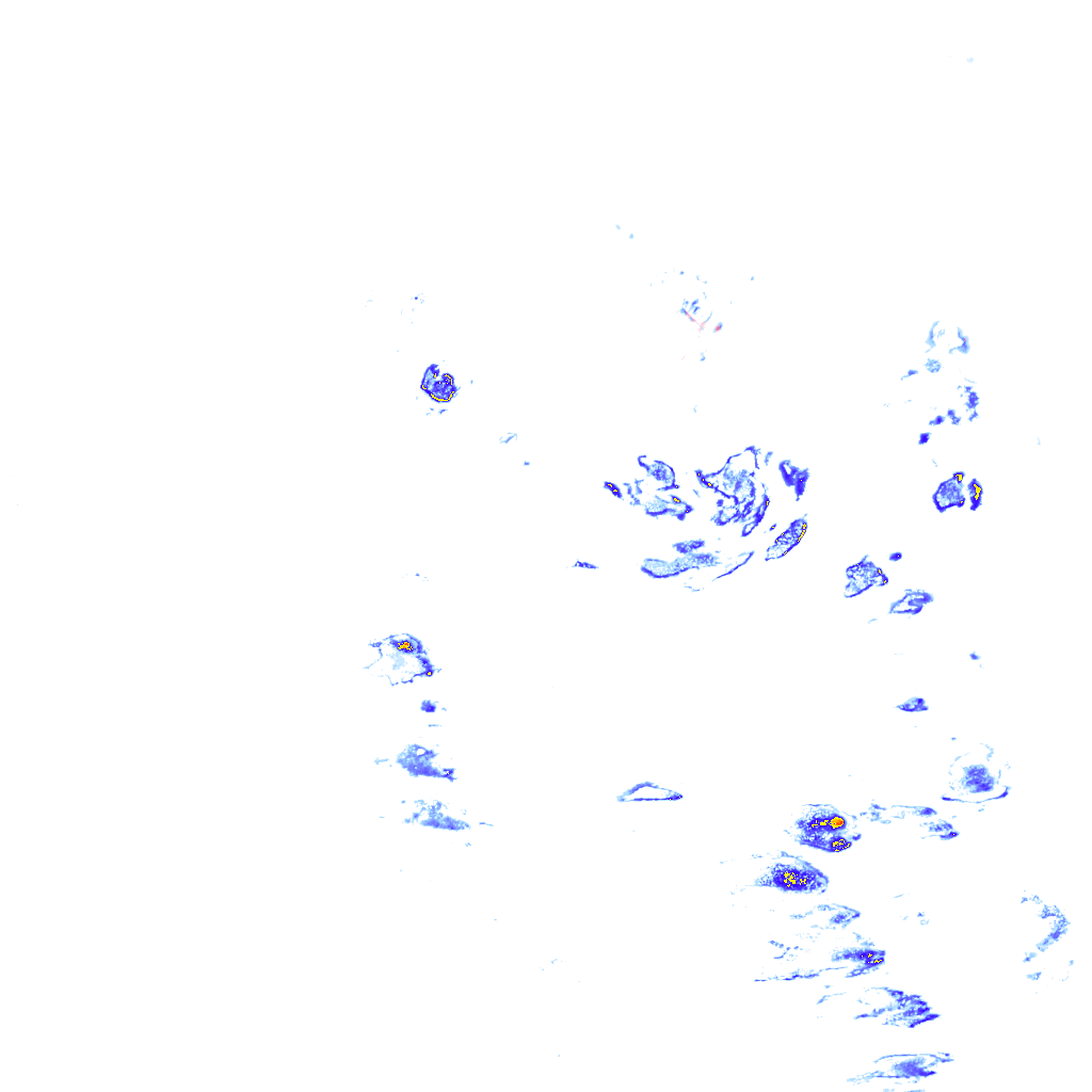 rainLayer