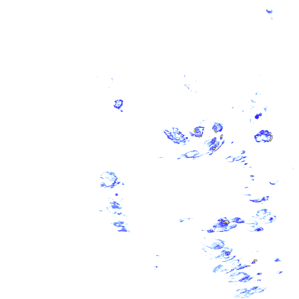 rainLayer