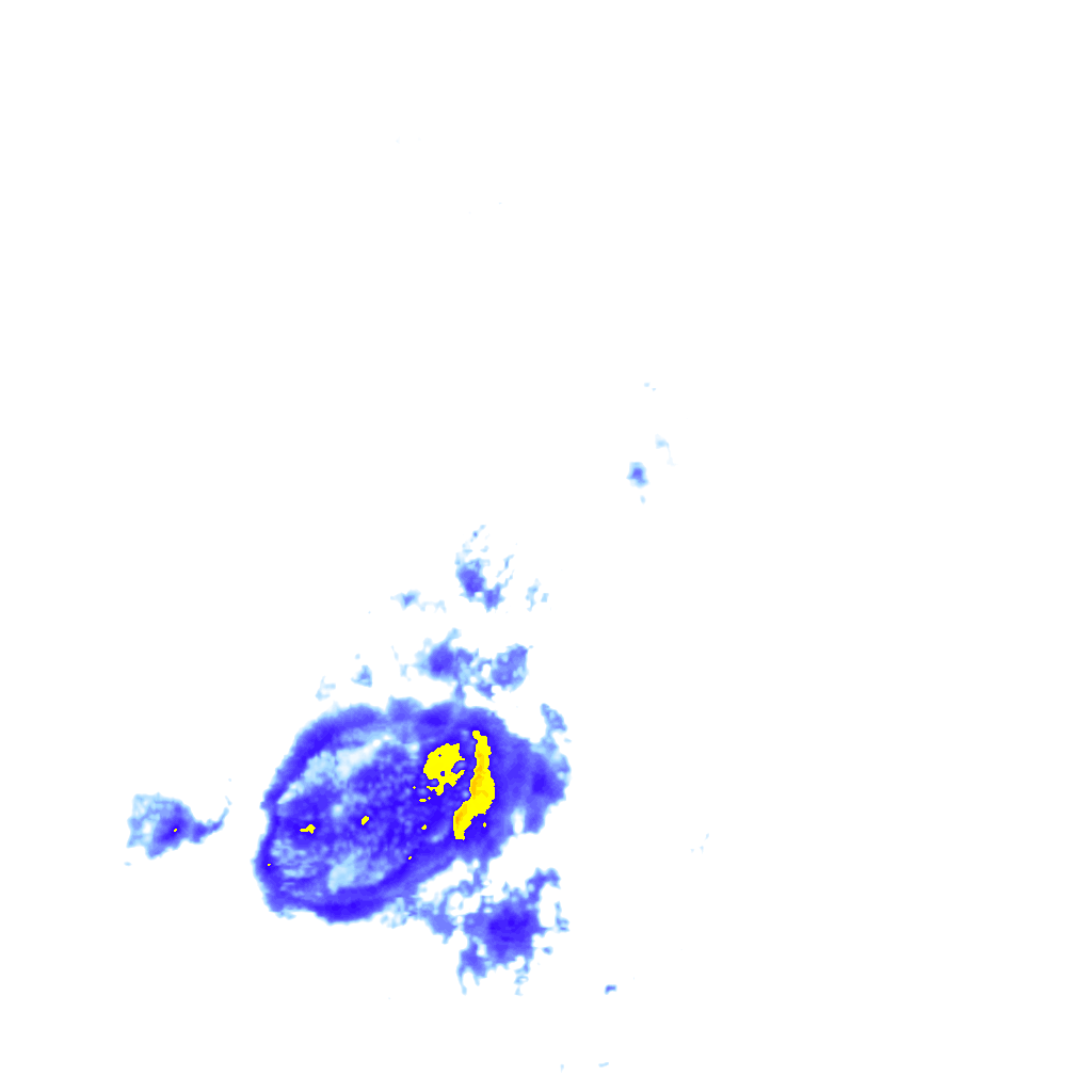 rainLayer