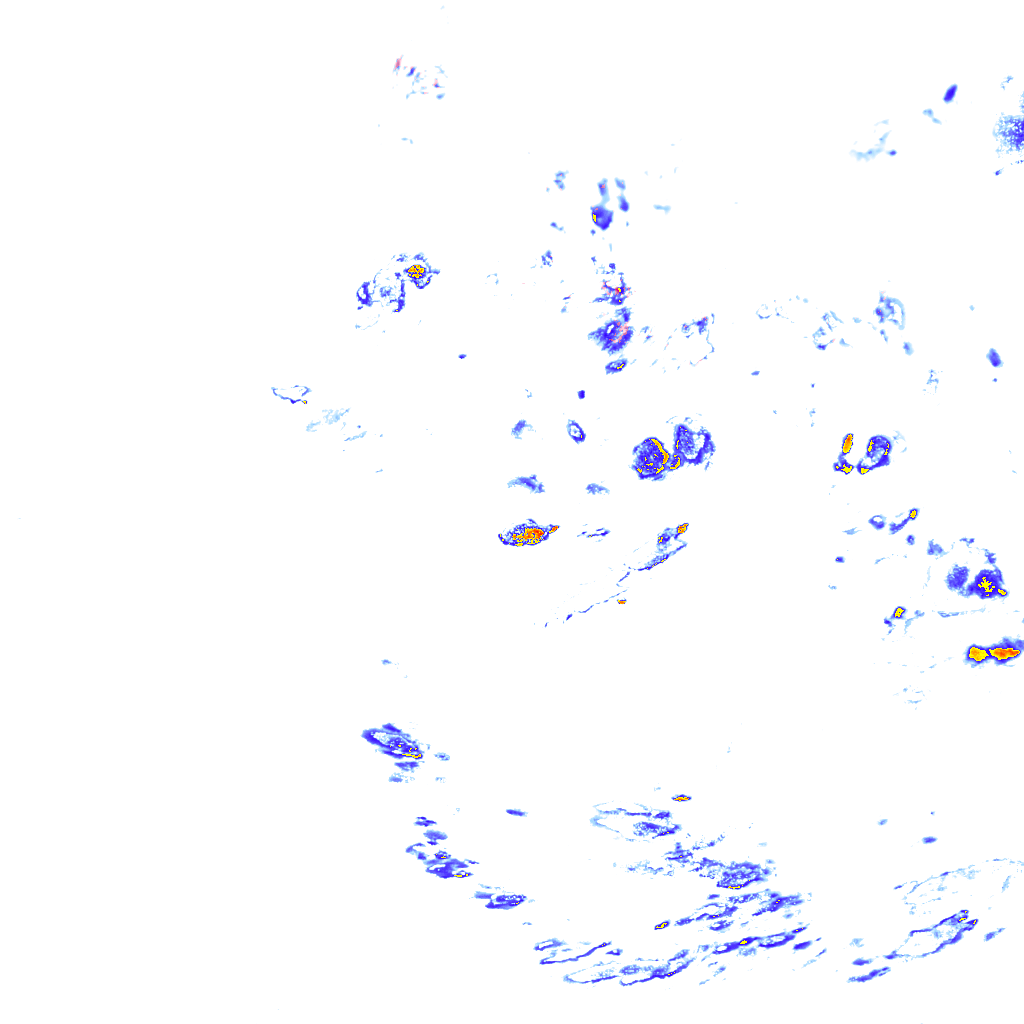 rainLayer