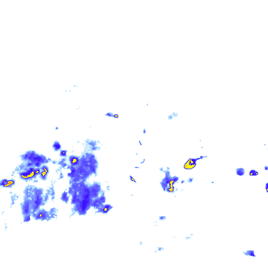 rainLayer