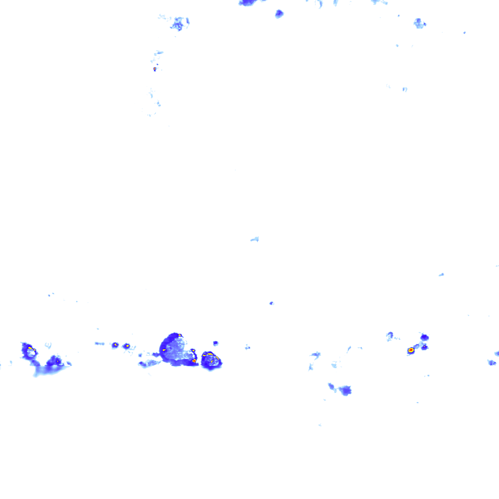 rainLayer