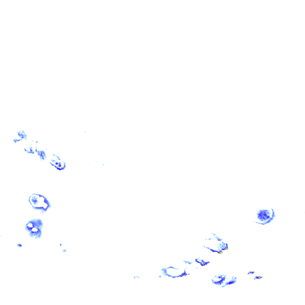 rainLayer