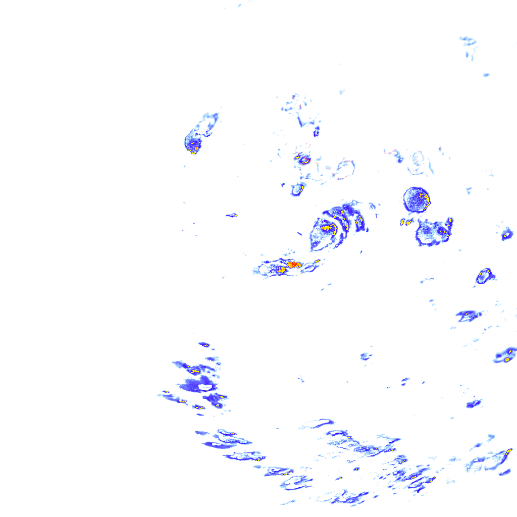 rainLayer