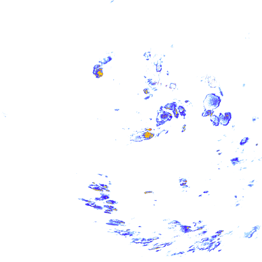 rainLayer