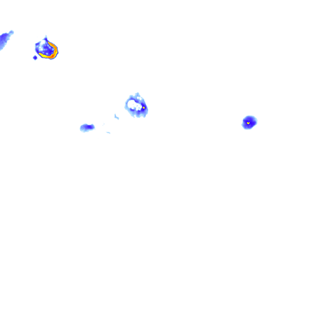rainLayer