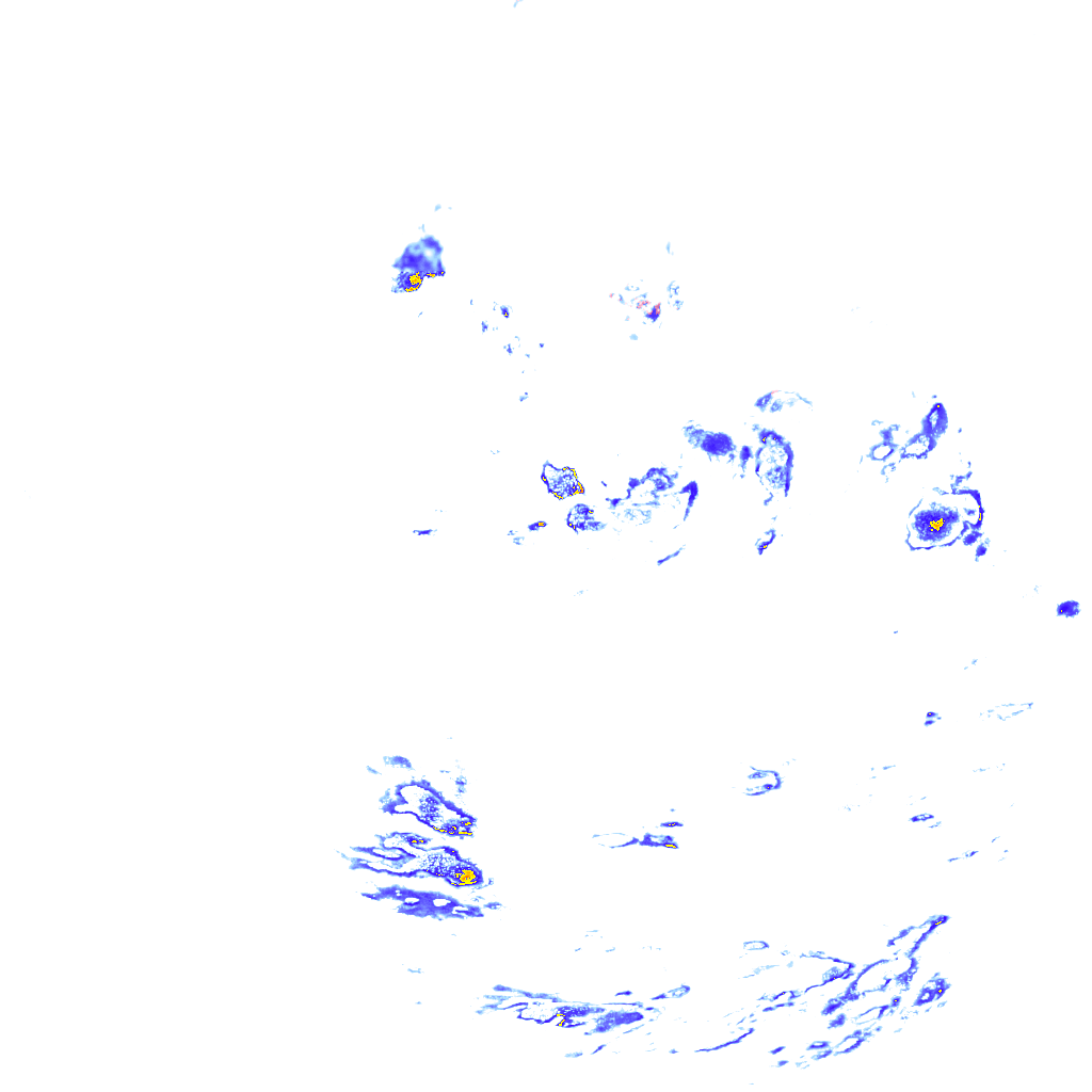 rainLayer
