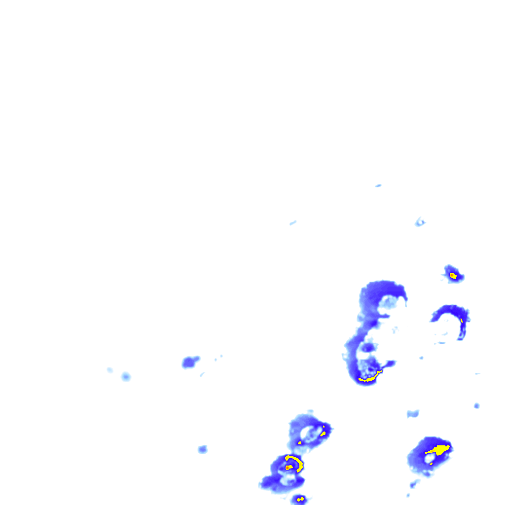 rainLayer