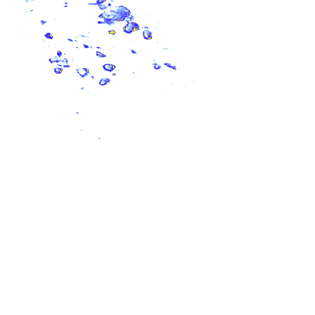 rainLayer