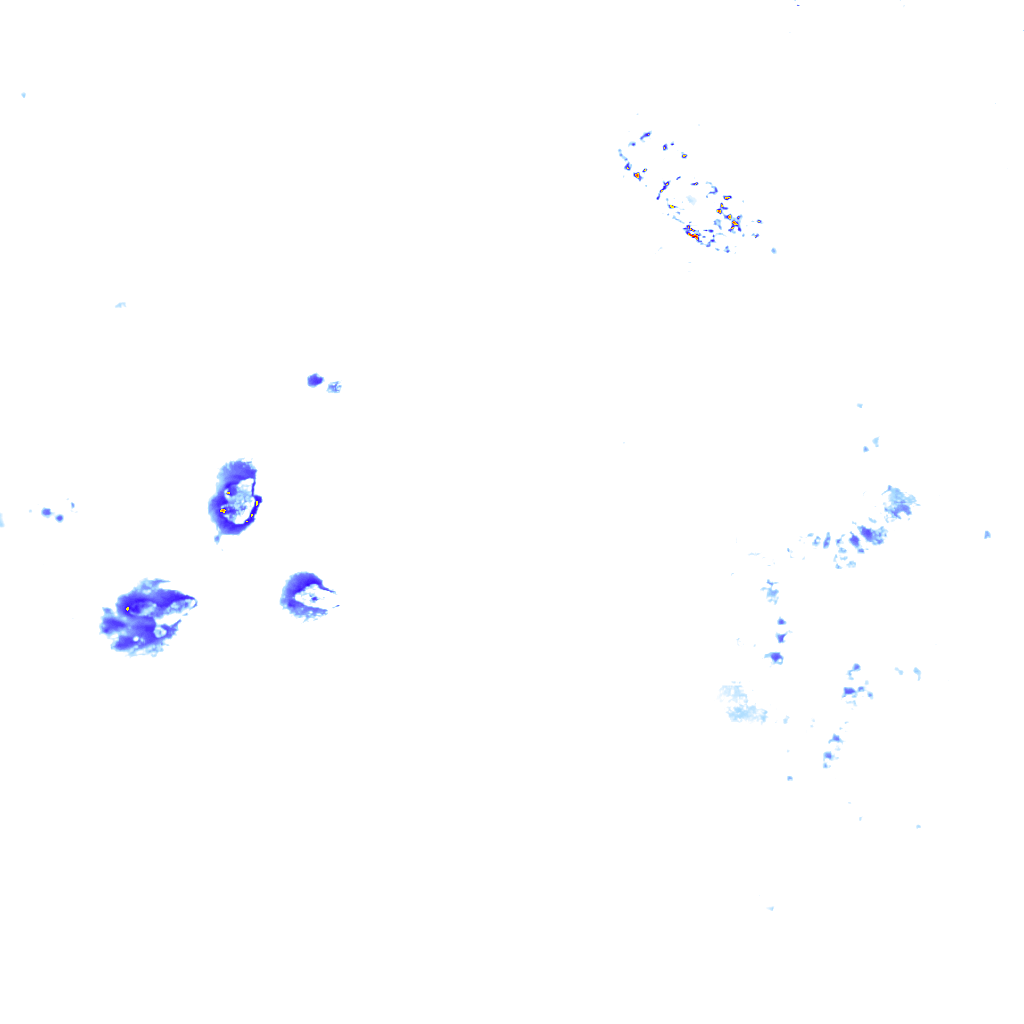 Image Layer