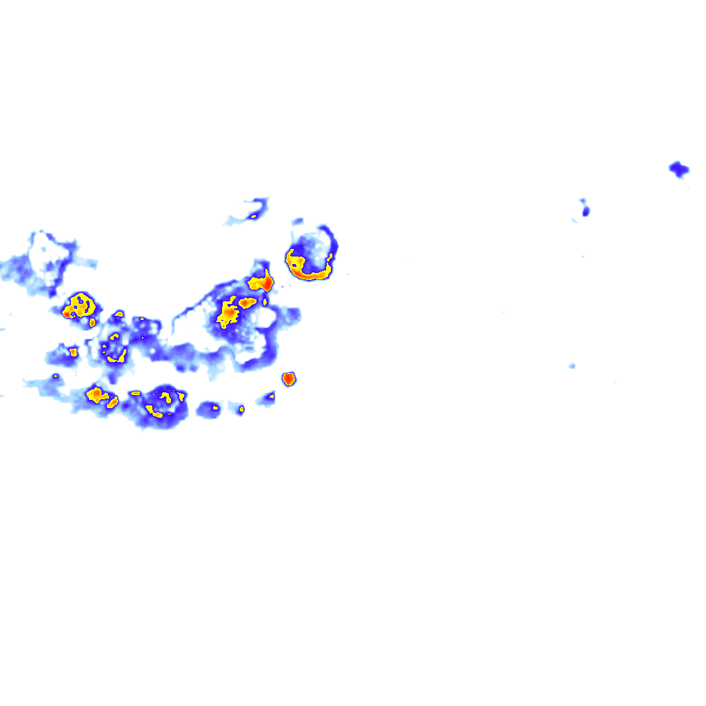 rainLayer