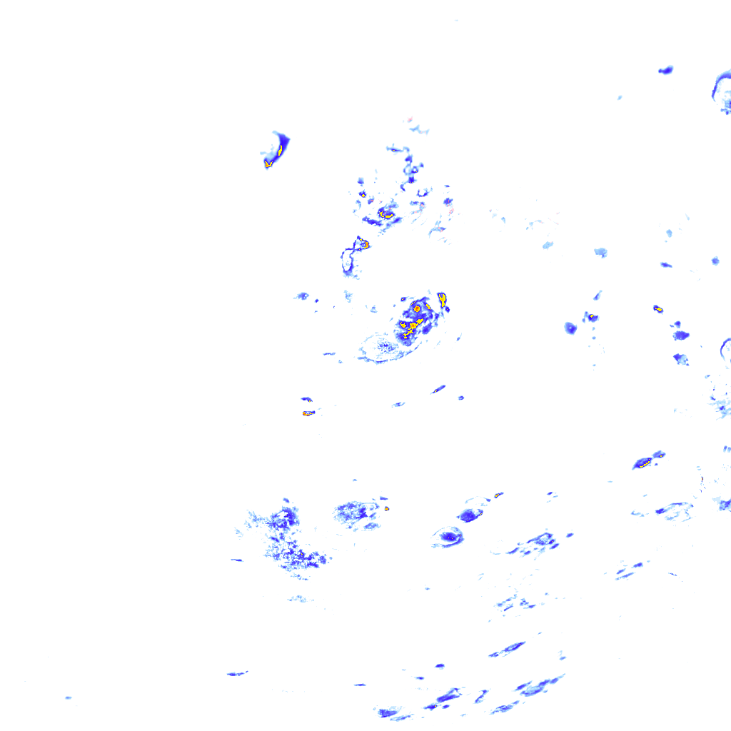 rainLayer