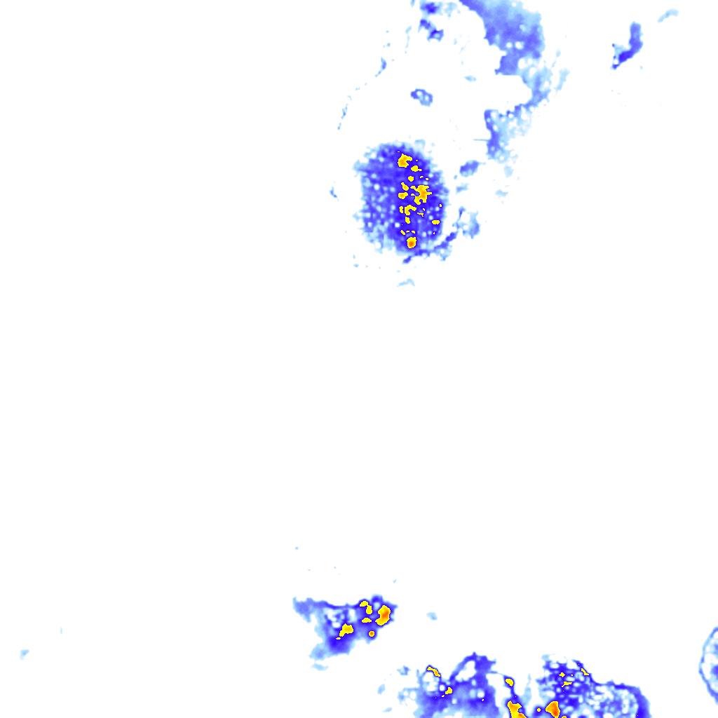 rainLayer
