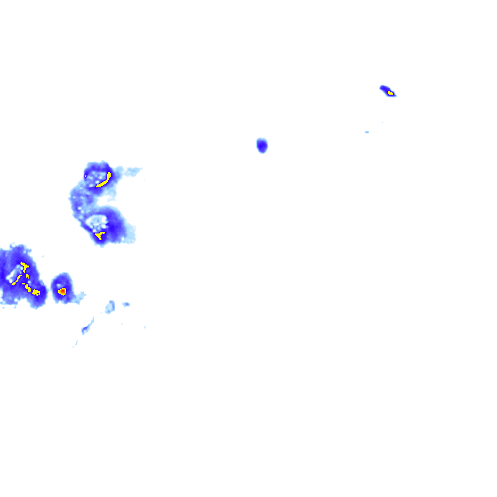 rainLayer