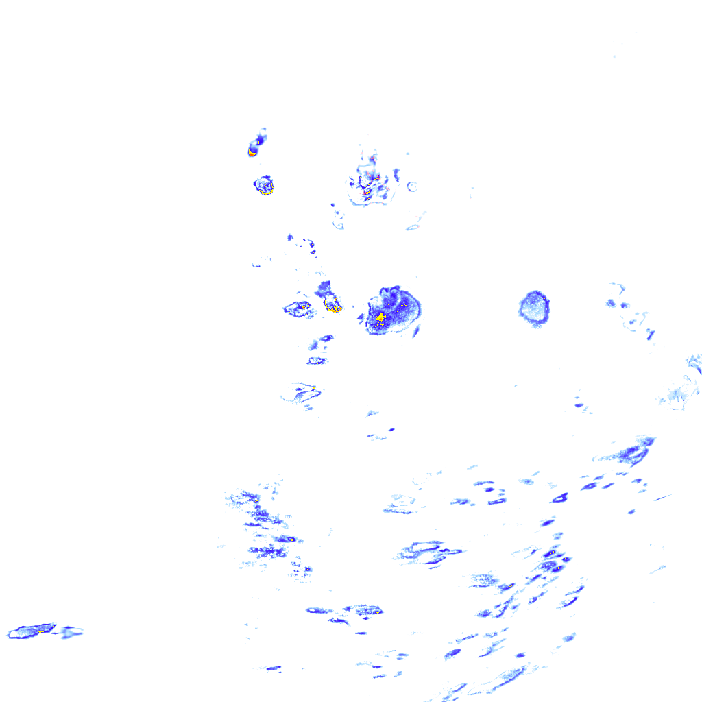 rainLayer