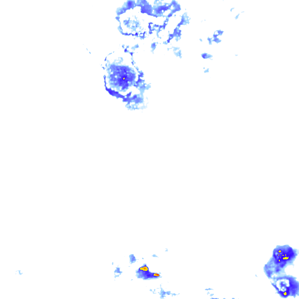 rainLayer