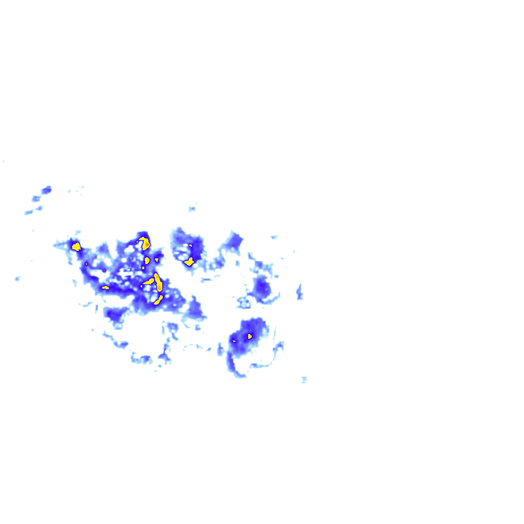 rainLayer