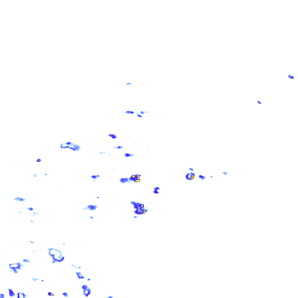 rainLayer