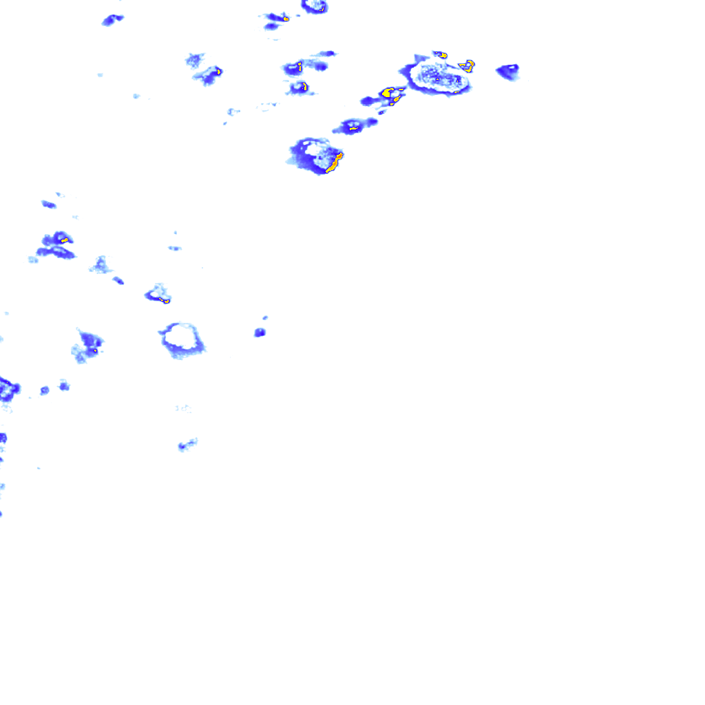 rainLayer
