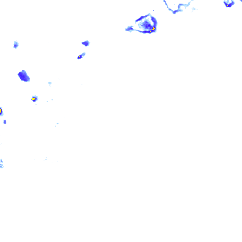 rainLayer