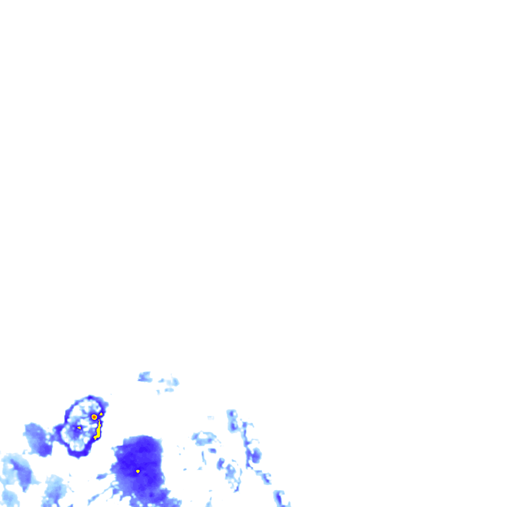rainLayer
