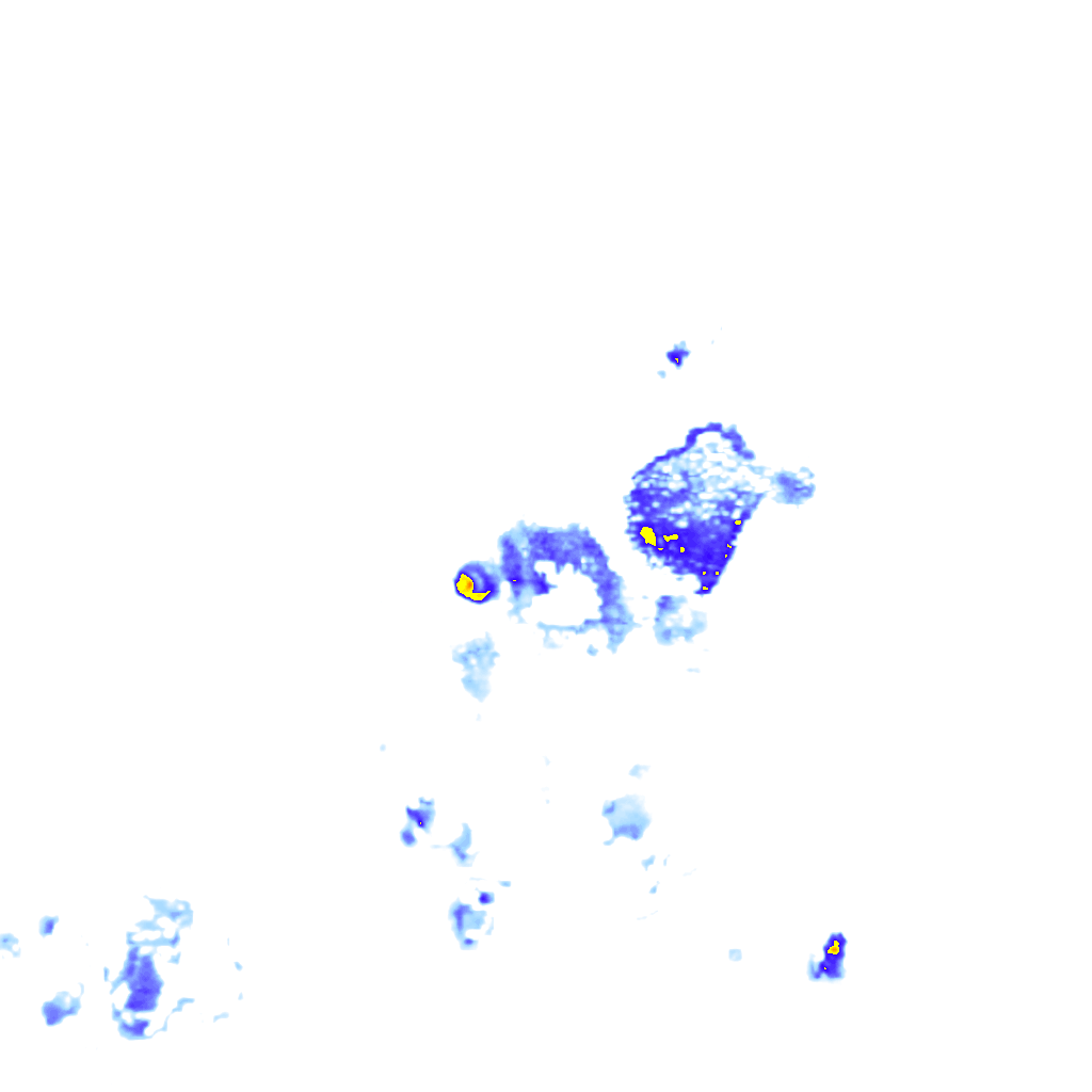 rainLayer