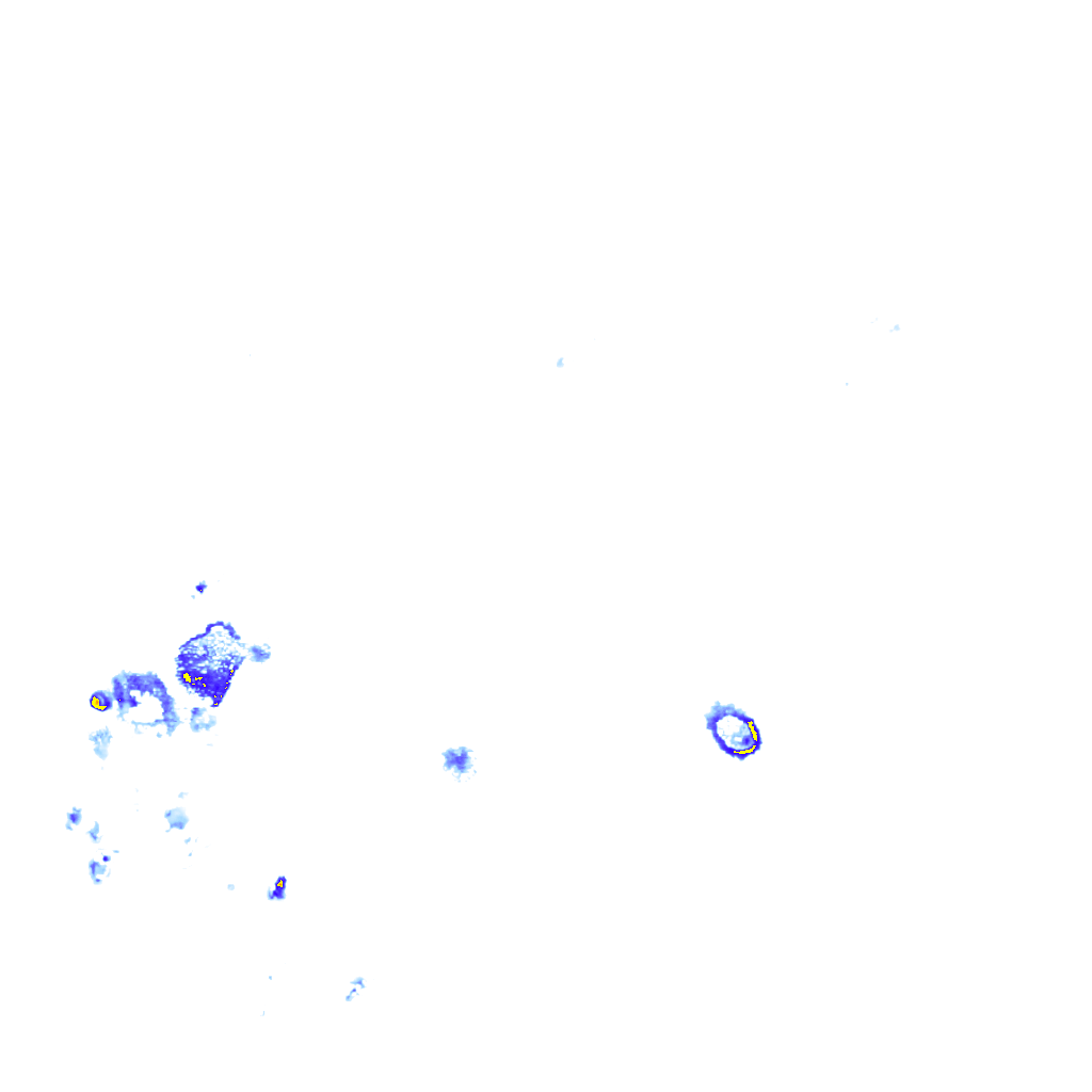 rainLayer